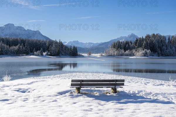 Snow-covered bench on a quiet lake with mountain panorama, Forggensee near Roßhaupten, Ostallgäu, Allgäu, Bavaria, Germany