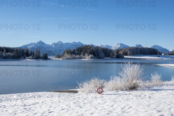 Snowy lakeside landscape with mountains in the background and clear sky, Forggensee near Roßhaupten, Ostallgäu, Allgäu, Bavaria, Germany