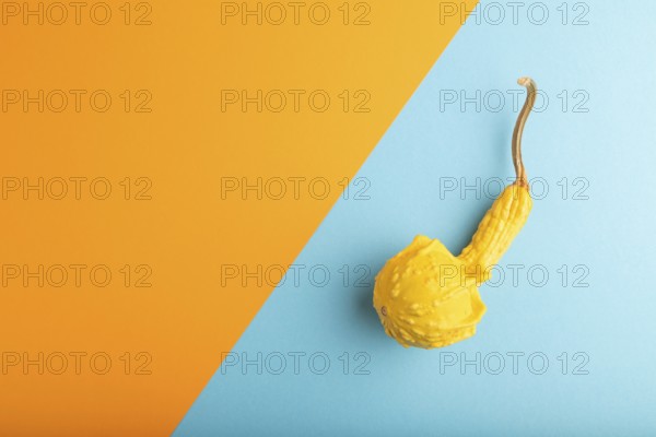 Decorative orange Pumpkin on blue and orange pastel paper background, top view, flat lay, copy space, minimalism