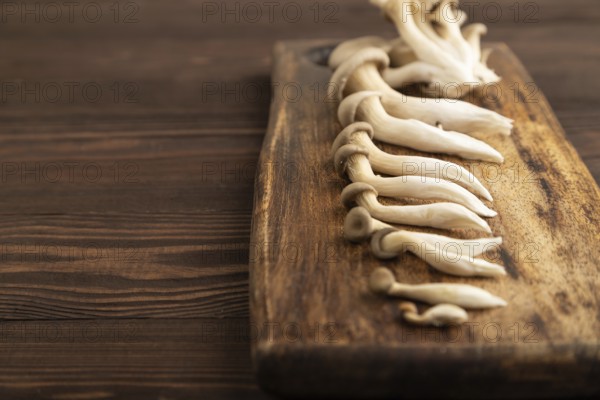 Raw Oyster mushroom, Pleurotus ostreatus on cutting board on brown wooden background. Side view, copy space, minimalism