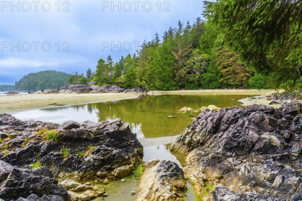 Calm green water reflecting trees and sky at mackenzie beach in tofino, a district municipality on the west coast of vancouver island in british columbia, canada, creating a peaceful natural scene