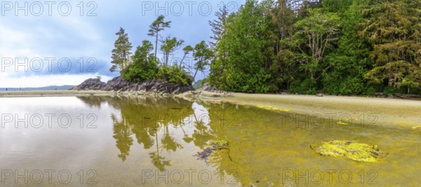 Tranquil ocean waters reflecting trees and sky create a serene beach scene in tofino, showcasing the peaceful natural beauty of vancouver island, canadas stunning coastline