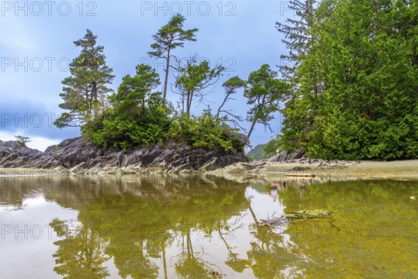 Serene coastal landscape showcasing a small rocky islet adorned with lush green vegetation, its reflection mirrored in the calm, shallow waters under a soft, cloudy sky in tofino, british columbia