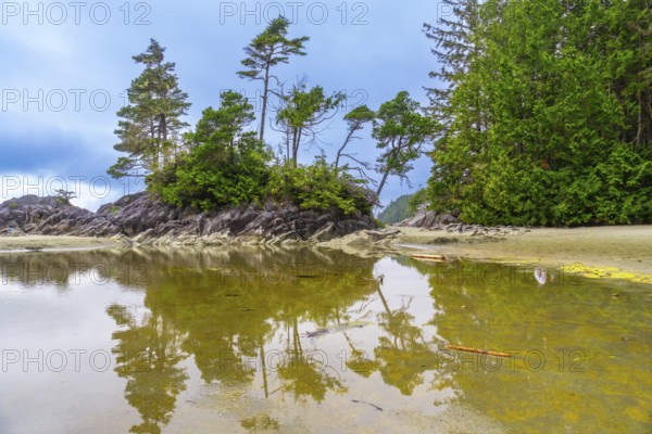 Serene coastal landscape featuring a lush green islet surrounded by shallow, reflective waters in tofino, vancouver island, british columbia, creating a picturesque view