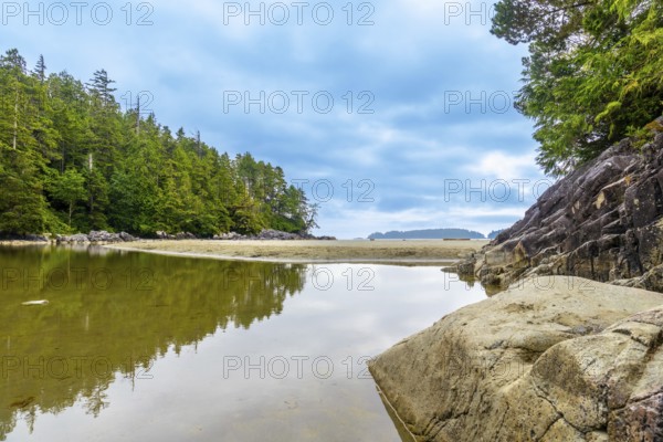 Tranquil ocean inlet reflecting trees and sky on a cloudy day in tofino, a popular tourist destination on vancouver island, british columbia, canada