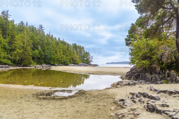 Calm water reflects lush trees and cloudy sky at mackenzie beach, a popular destination in tofino, known for its surfing and natural beauty on vancouver island, canada