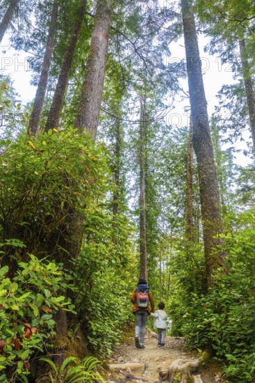 Mother and child enjoying a peaceful hike along a scenic rainforest trail, surrounded by towering trees, vibrant green foliage, and the tranquility of nature in tofino, british columbia