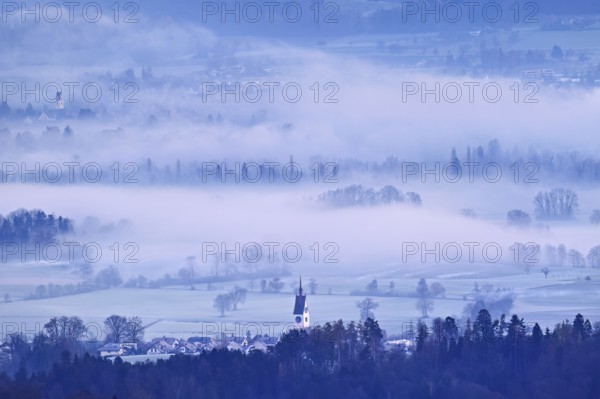 Meadows and trees in the morning fog and the church in the foreground, Reusstal, Merenschwand, Canton of Aargau, Switzerland