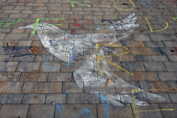 Painting of a peace dove on the pavement of the schoolyard of a secondary school, Röthebach, Middle Franconia, Bavaria, Germany