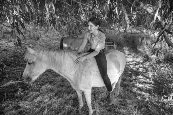 Young girl sitting on her white mare under a willow (Salix), black and white, Othenstorf, Mecklenburg-Vorpommern, Germany