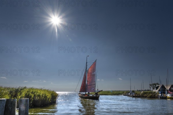 Zeesboot, former historic fishing boat, leaves the port of Ahrenshoop, Sonnenstern, Darß, Mecklenburg-Western Pomerania, Germany