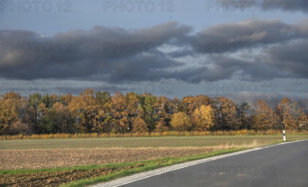 Autumn road next to undeveloped fields, surrounded by colorful trees under grey sky, country road in autumn Franconia, Bavaria