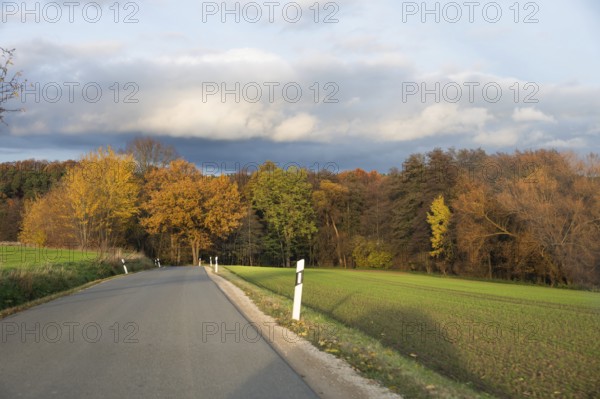 Autumn country road under cloudy sky, lined with colorful trees and green meadow, country road in autumn Franconia, Bavaria