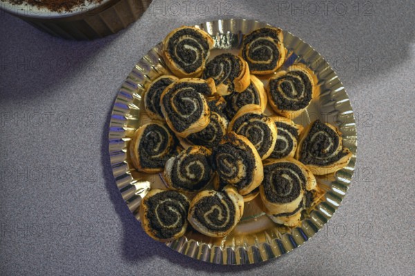 Mohnschnecken, Bayern, Germany