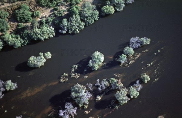 Aerial view, trees, Zambezi, Zimbabwe, Africa, June 2000, vintage, retro, old, historic