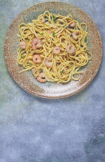 Spaghetti with shrimp, in cream sauce, top view, no people