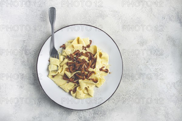 Pasta papardelle, in creamy garlic sauce, with mushrooms, traditional Italian cuisine, pasta carbonara, homemade, no people