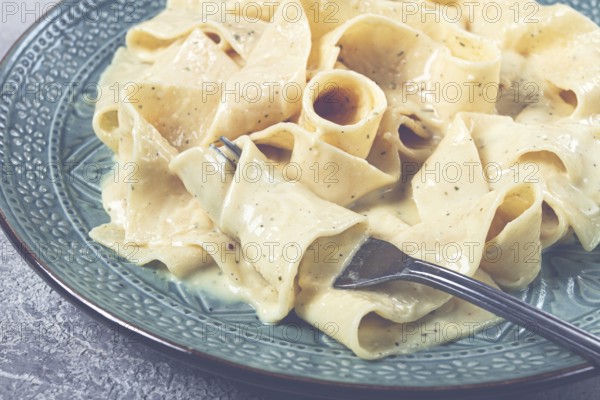 Pasta papardelle in creamy garlic sauce, traditional Italian cuisine, pasta carbonara, homemade, no people