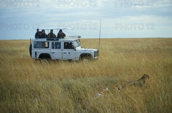 Safari participants watch cheetah, Serengeti, Tanzania, Africa, June 2000, vintage, retro, old, historic