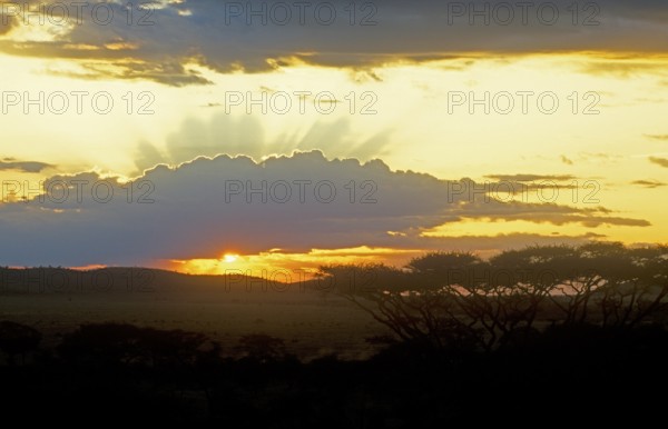 Sunset over Serengeti, Tanzania, Africa, June 2000, vintage, retro, old, historic