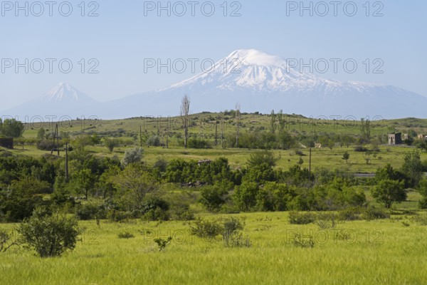 Green pasture with snow-covered mountain in the background and scattered huts, view of large and small Ararat in Turkey, near Ujan, Aragazotn province, Armenia, AsiaArmenia, Asia