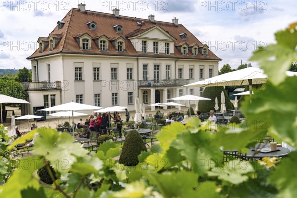 The Saxon State Winery Schloss Wackerbarth or Wackerbarth's Ruh' with Baroque Castle in Niederlößnitz, Radebeul, Saxony, Germany