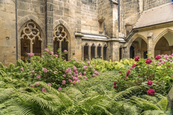 Inner courtyard of the cloister in Meissen Cathedral, Meissen, Saxony, Germany