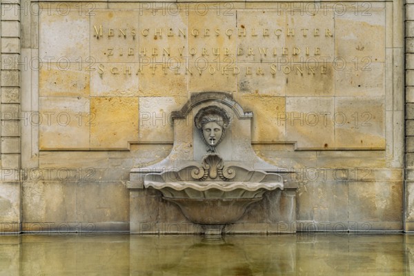 Belvedere fountain of the Saxon State Winery Schloss Wackerbarth or Wackerbarth's Ruh' in Niederlößnitz, Radebeul, Saxony, Germany