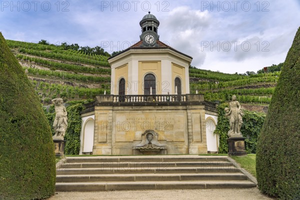 Belvedere and vineyard of the Saxon State Winery Schloss Wackerbarth or Wackerbarth's Ruh' in Niederlößnitz, Radebeul, Saxony, Germany