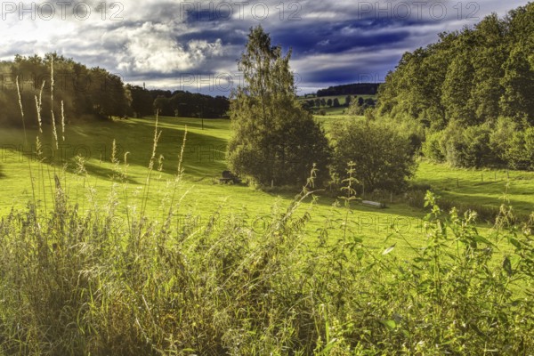 Green meadow with wooded background in sunlight under dramatic sky, Siegen