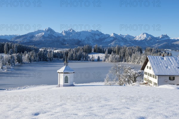 Snowy landscape with chapel, farm and mountains in the background under clear sky, Hegratsrieder See, near Füssen, Ostallgäu, Allgäu, Bavaria, Germany