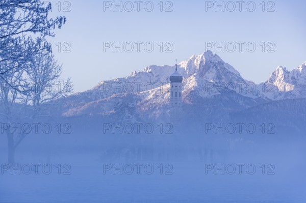 Snowy mountain landscape with St. Coloman pilgrimage church in the foreground and foggy background, Schwangau near Füssen, Ostallgäu, Allgäu, Bavaria, Germany