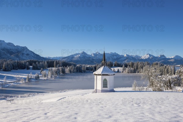 Snowy landscape with chapel and mountains in the background under clear blue sky, Hegratsrieder See, near Füssen, Ostallgäu, Allgäu, Bavaria, Germany