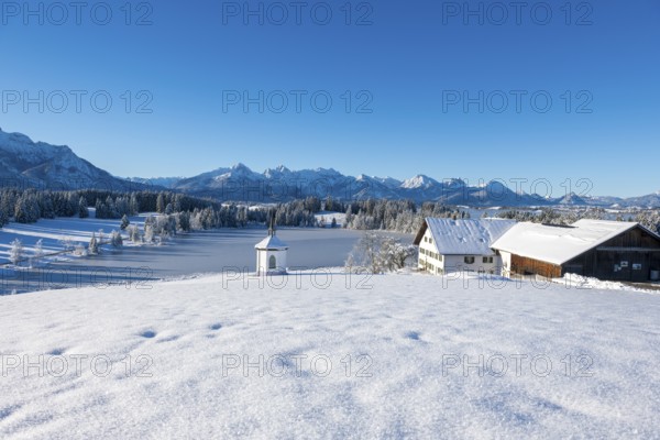 A winter landscape with farm and chapel in front of snowy mountains under a blue sky, Hegratsrieder See, near Füssen, Ostallgäu, Allgäu, Bavaria, Germany