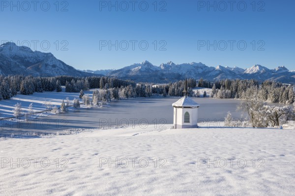 Snow-covered plain with a chapel and mountains under bright blue sky, Hegratsrieder See, near Füssen, Ostallgäu, Allgäu, Bavaria, Germany