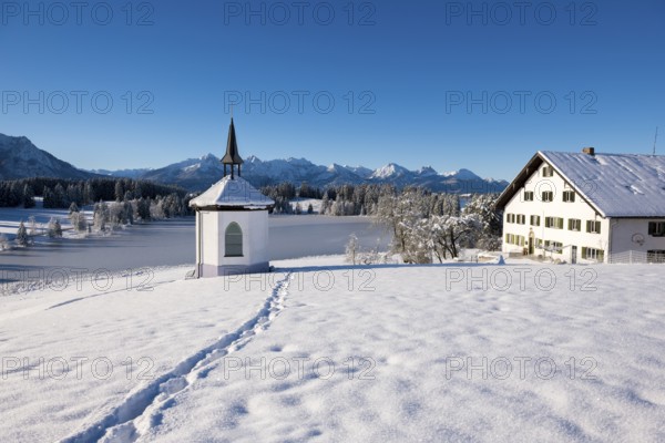 Snowy landscape with chapel and farmhouse against mountain backdrop under blue sky, Hegratsrieder See, near Füssen, Ostallgäu, Allgäu, Bavaria, Germany