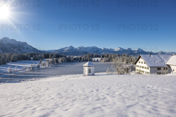 Snowy landscape with chapel, farmhouse and mountains under brilliant sunshine, Hegratsrieder See, near Füssen, Ostallgäu, Allgäu, Bavaria, Germany