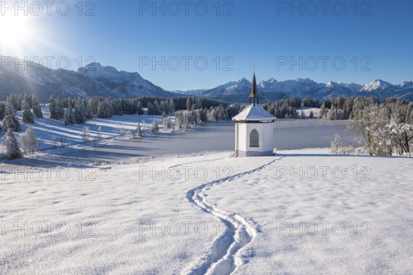 Snowy landscape with chapel and footprints, surrounded by mountains and forests, Hegratsrieder See, near Füssen, Ostallgäu, Allgäu, Bavaria, Germany