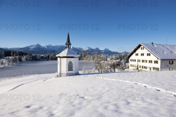 Chapel and farmhouse in snowy landscape with mountains in the background, clear atmosphere, Hegratsrieder See, near Füssen, Ostallgäu, Allgäu, Bavaria, Germany