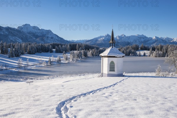 Snowy landscape with chapel and footprints against a mountain backdrop, Hegratsrieder See, near Füssen, Ostallgäu, Allgäu, Bavaria, Germany