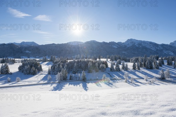 Snow-covered landscape with bright sun over mountains and trees, clear winter atmosphere, near Füssen, Ostallgäu, Allgäu, Bavaria, Germany