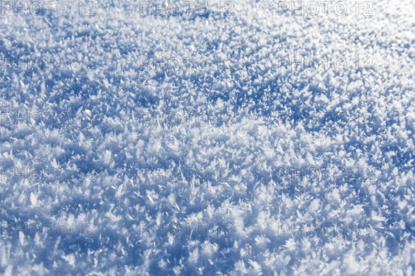 Close-up view of ice crystals on a blanket of snow giving a cool, wintry feeling, Bavaria, Germany
