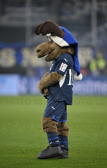 Mascot Hoffie TSG 1899 Hoffenheim in Christmas outfit with blue Christmas hat PreZero Arena, Sinsheim, Baden-Württemberg, Germany