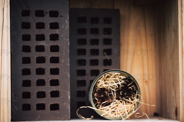 Insect hotel, nesting aid for wild bees made of perforated bricks and can with straw and pine cones in a wooden frame, detailed close-up in soft light, Hooksiel, Lower Saxony, Germany
