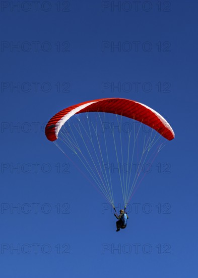 Paragliders against a blue sky, Val d'Anniviers, Valais Alps, Canton of Valais, Switzerland