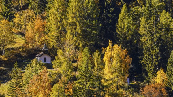 Small chapel in a forest with autumn colors, Val d'Anniviers, Valais Alps, Canton of Valais, Switzerland