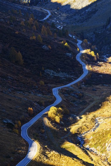 The mountain road from Grimentz to the Lac de Moiry reservoir with autumn colors, Val d'Anniviers, Valais Alps, Canton of Valais, Switzerland