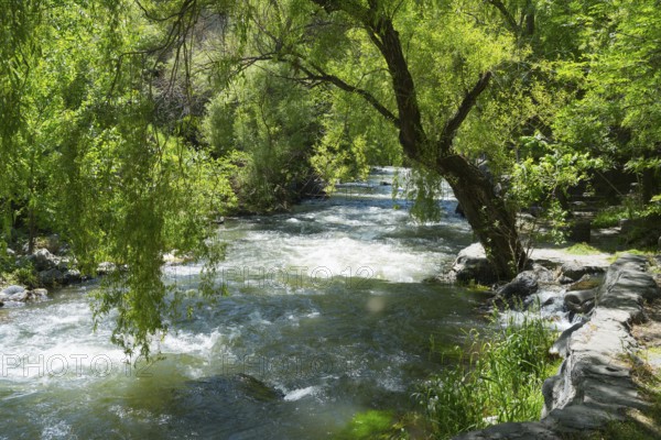 A calm river flows through a green landscape with lush trees and bright sunlight, Kassagh River, Ashtarak, Aštarak, Aragazotn Province, Armenia