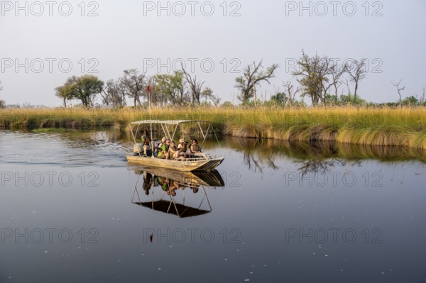 Safari by boat, tourist observing African elephant (Loxodonta africana) in the swamp, Xakanaxa Lagoon, Okavango Delta, Moremi Game Reserve, Botswana