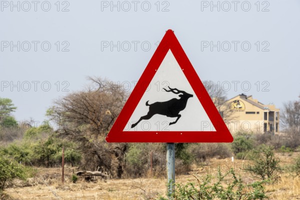 Traffic sign, attention wild animals, Impala, Botswana